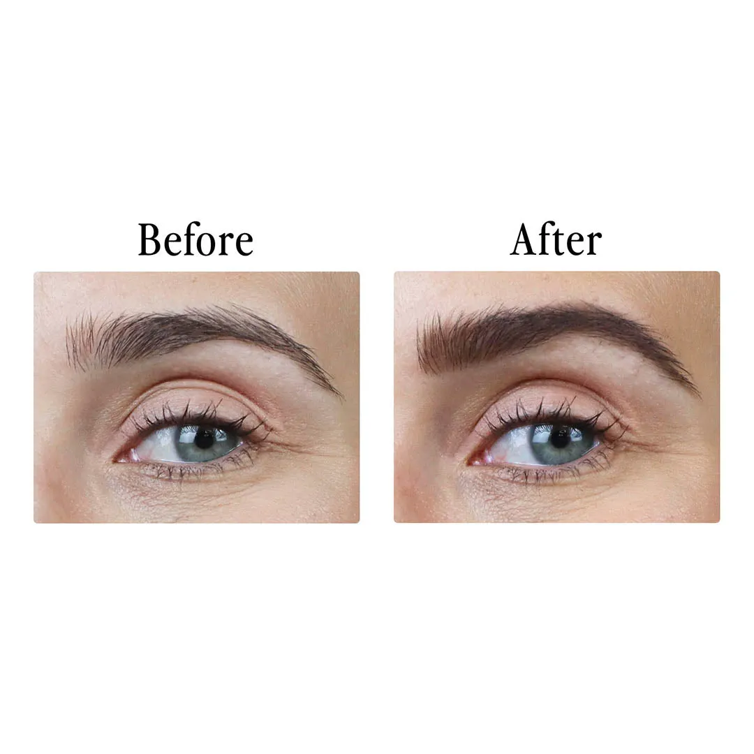 Color & Control: Brow Kit