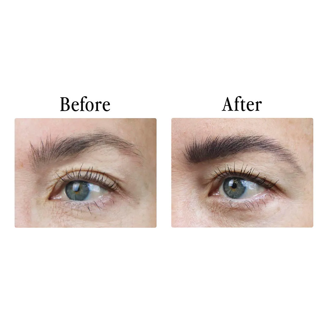 Color & Control: Brow Kit