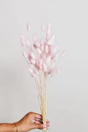 Preserved Two Tone Blush Bunny Tail